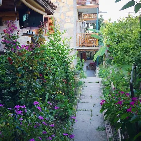 Guest house Tas 3*